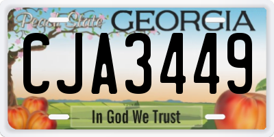GA license plate CJA3449