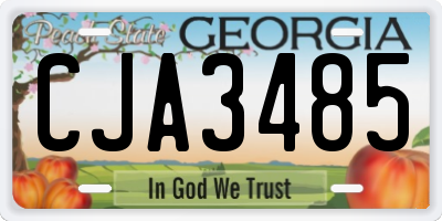 GA license plate CJA3485