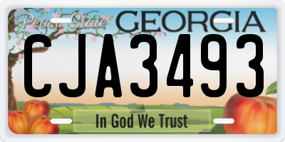 GA license plate CJA3493