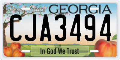 GA license plate CJA3494
