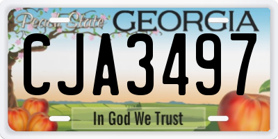 GA license plate CJA3497