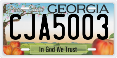 GA license plate CJA5003