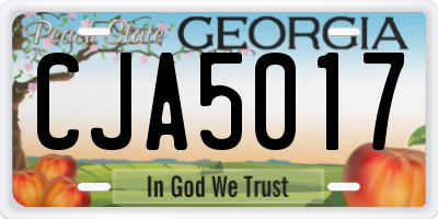 GA license plate CJA5017