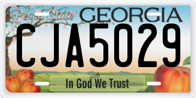 GA license plate CJA5029