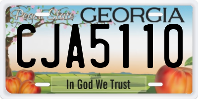 GA license plate CJA5110
