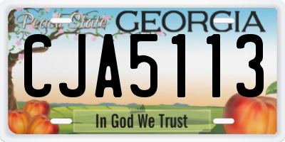GA license plate CJA5113