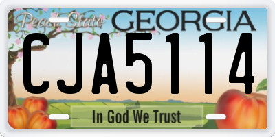 GA license plate CJA5114