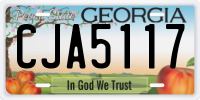 GA license plate CJA5117