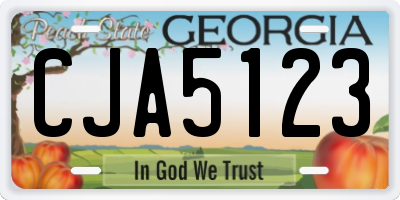 GA license plate CJA5123
