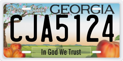 GA license plate CJA5124
