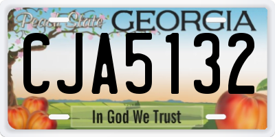 GA license plate CJA5132