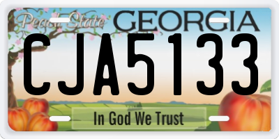 GA license plate CJA5133