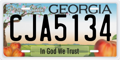 GA license plate CJA5134