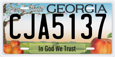 GA license plate CJA5137