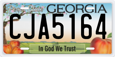GA license plate CJA5164