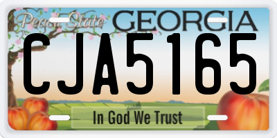 GA license plate CJA5165