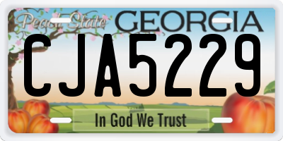 GA license plate CJA5229