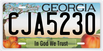 GA license plate CJA5230