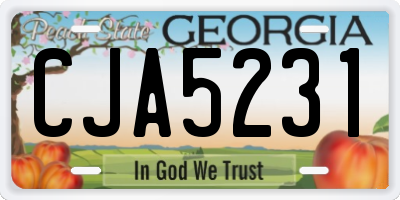 GA license plate CJA5231