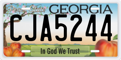 GA license plate CJA5244