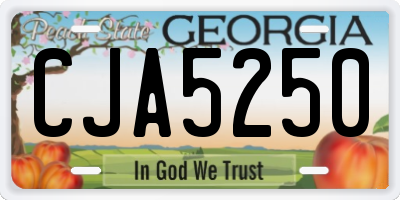 GA license plate CJA5250