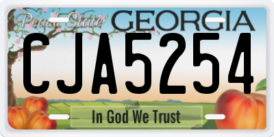 GA license plate CJA5254
