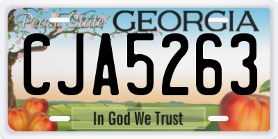 GA license plate CJA5263
