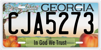 GA license plate CJA5273