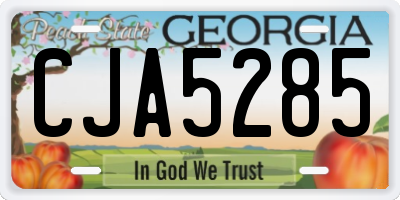 GA license plate CJA5285