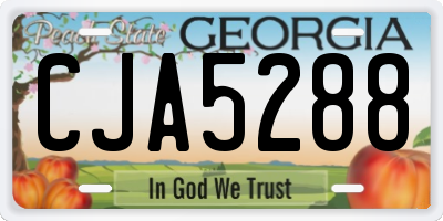 GA license plate CJA5288