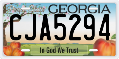 GA license plate CJA5294
