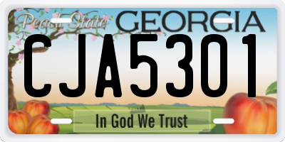 GA license plate CJA5301