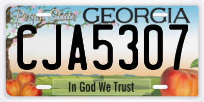GA license plate CJA5307