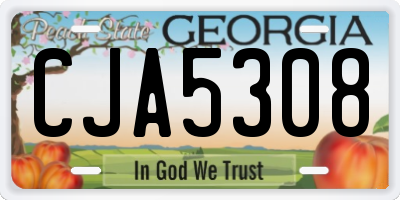 GA license plate CJA5308