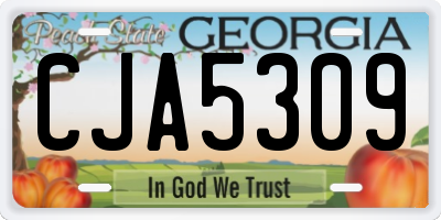GA license plate CJA5309