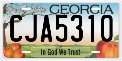 GA license plate CJA5310