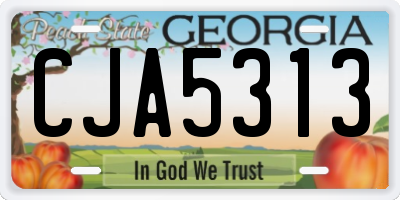 GA license plate CJA5313