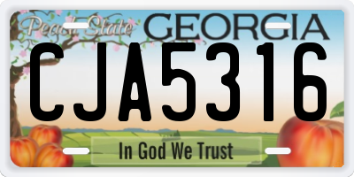 GA license plate CJA5316