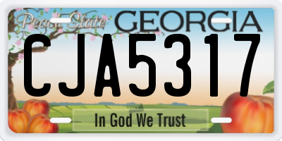 GA license plate CJA5317