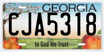 GA license plate CJA5318