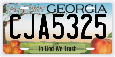 GA license plate CJA5325