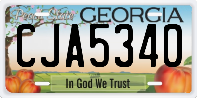 GA license plate CJA5340