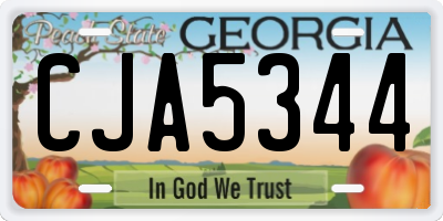 GA license plate CJA5344