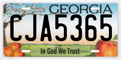 GA license plate CJA5365