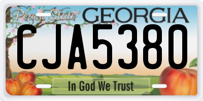 GA license plate CJA5380