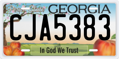 GA license plate CJA5383