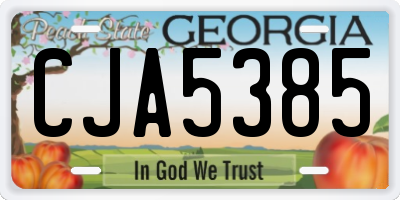 GA license plate CJA5385