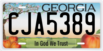 GA license plate CJA5389