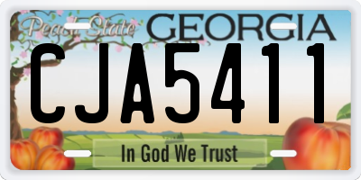 GA license plate CJA5411