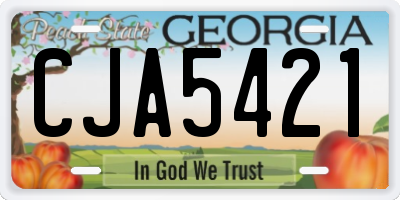 GA license plate CJA5421